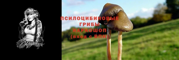 бошки Алексин