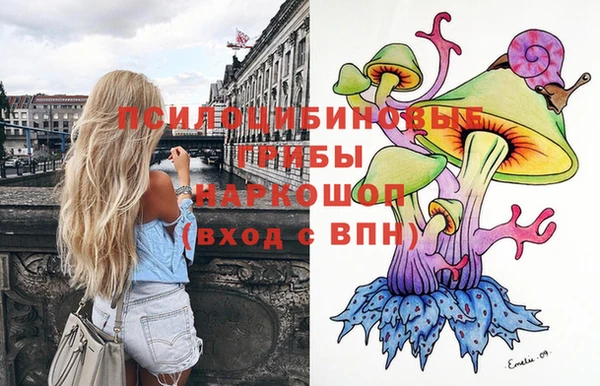 бошки Алексин