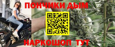 шишки Кинель