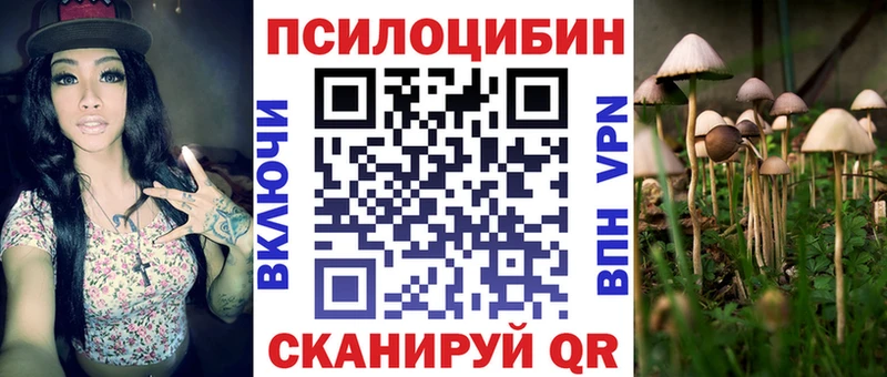 гидра ССЫЛКА Одинцово Псилоцибиновые грибы Psilocybine cubensis