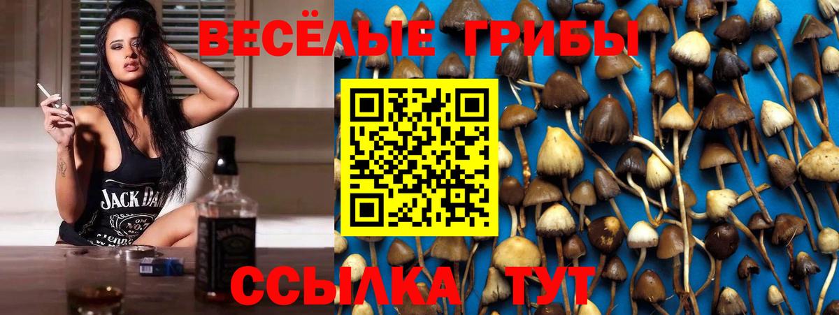 Галлюциногенные грибы мицелий Одинцово